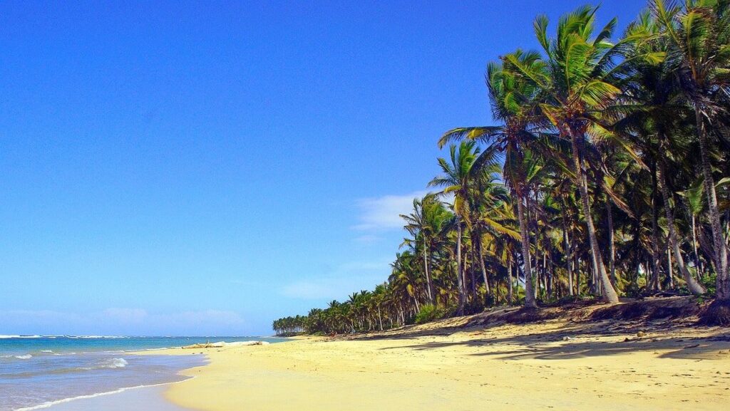 dominican republic, punta cana, beach-2236958.jpg