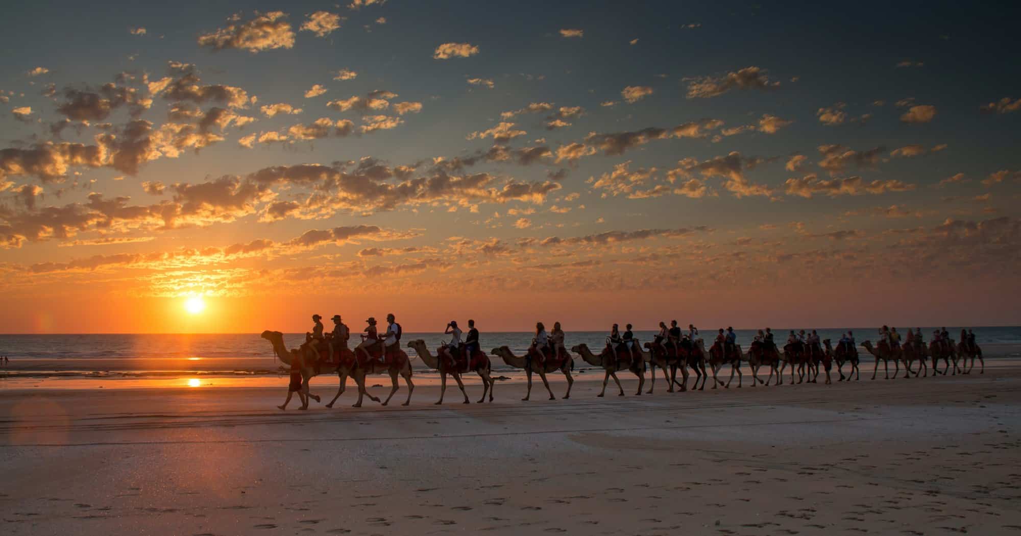 Camel train on camel beach