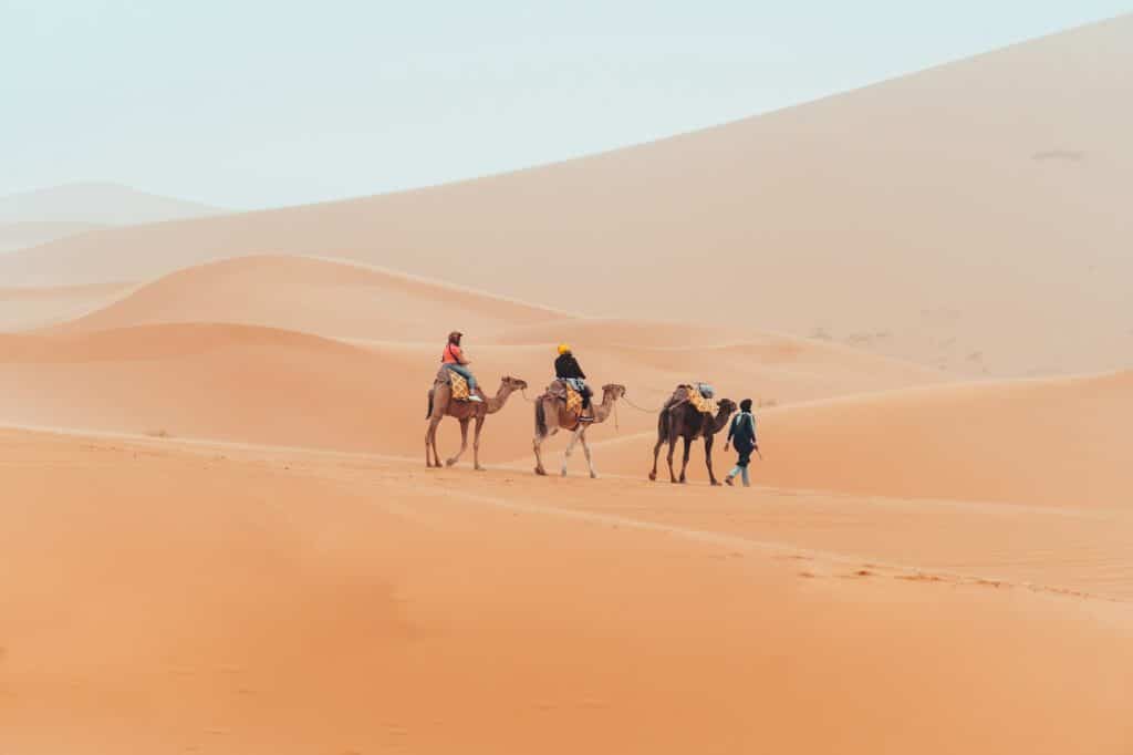 Camel trek with tourists through the sahara desert in Merzouga, Morocco